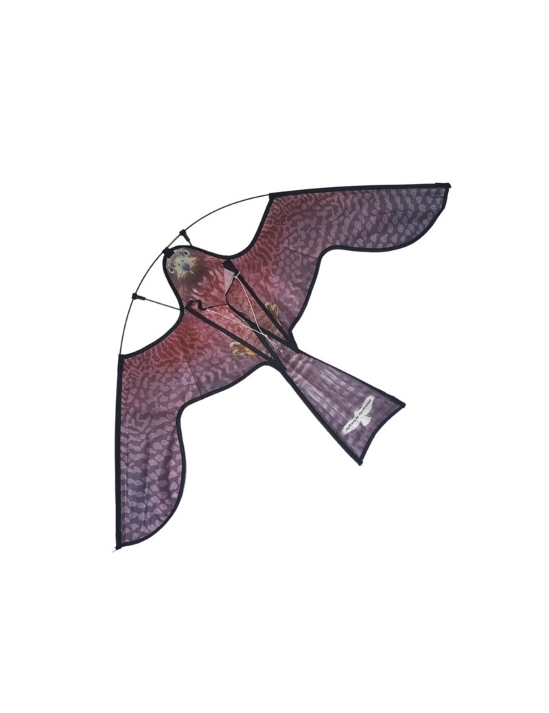 Cerf-Volant de Poisson Cerf-Volant 3D Cerf-Volant d'épaulard